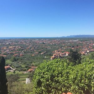 Belvedere 10